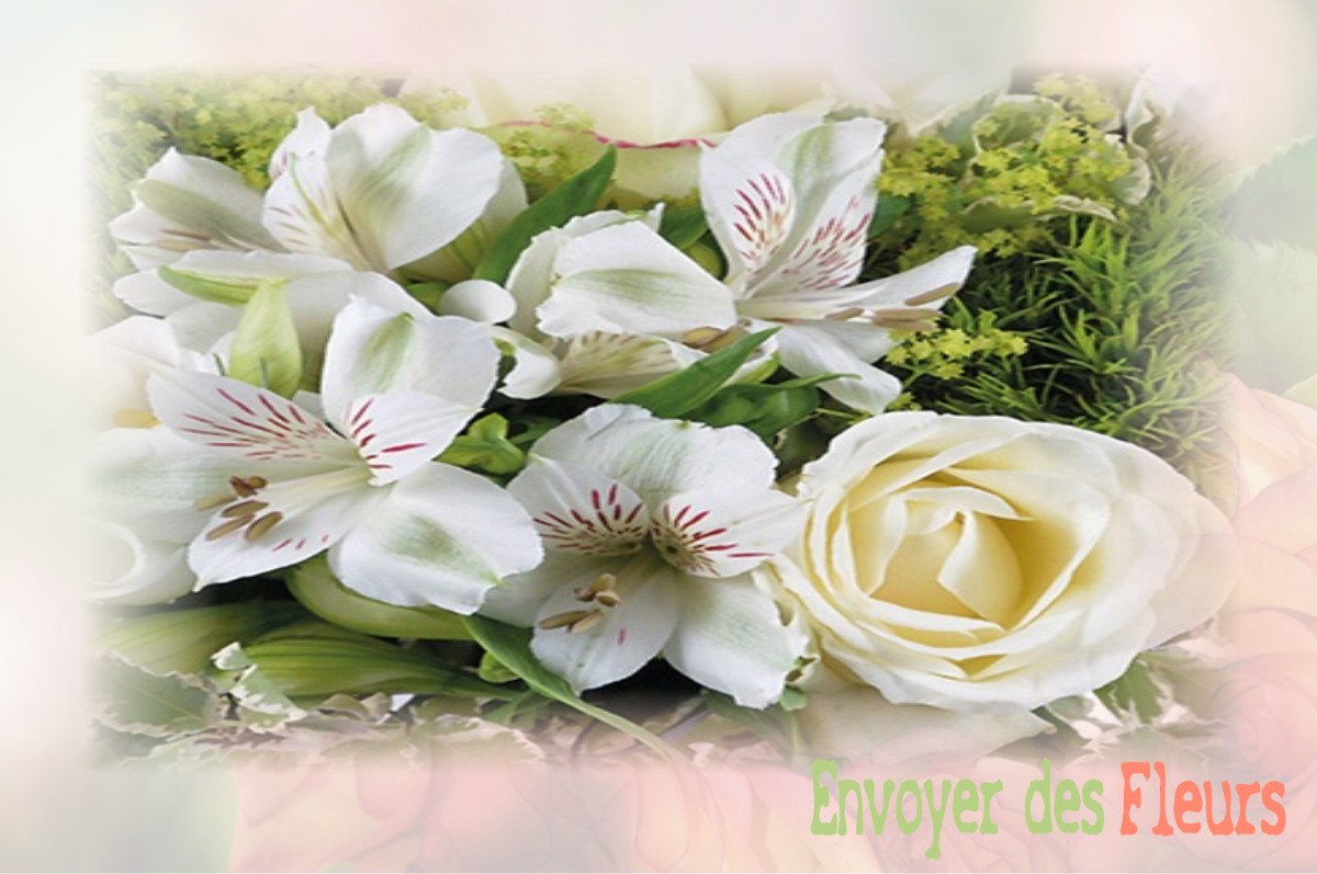 envoyer des fleurs à à VILLIERS-SAINT-FREDERIC