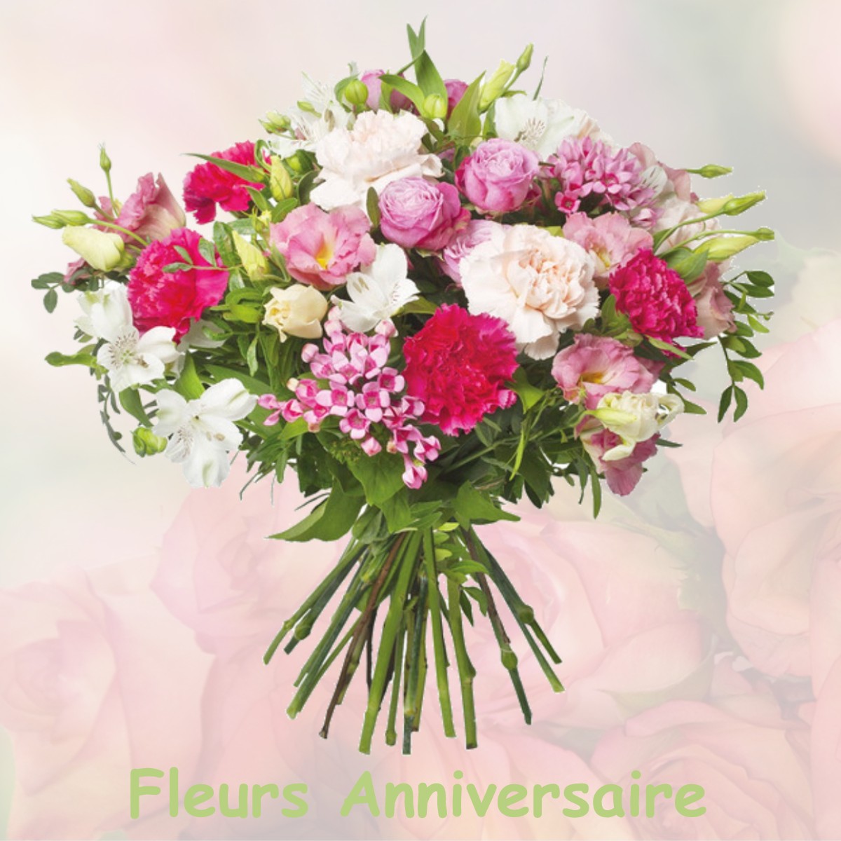 fleurs anniversaire VILLIERS-SAINT-FREDERIC